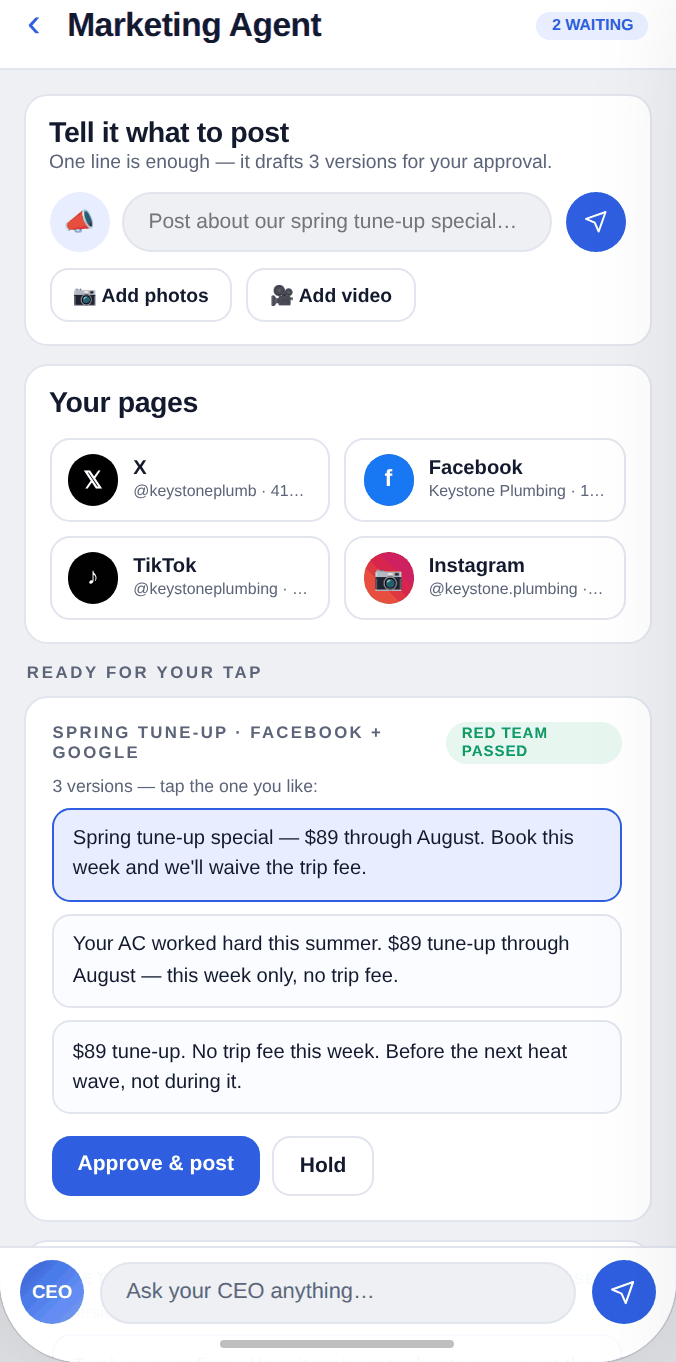 Marketing Agent — in the app